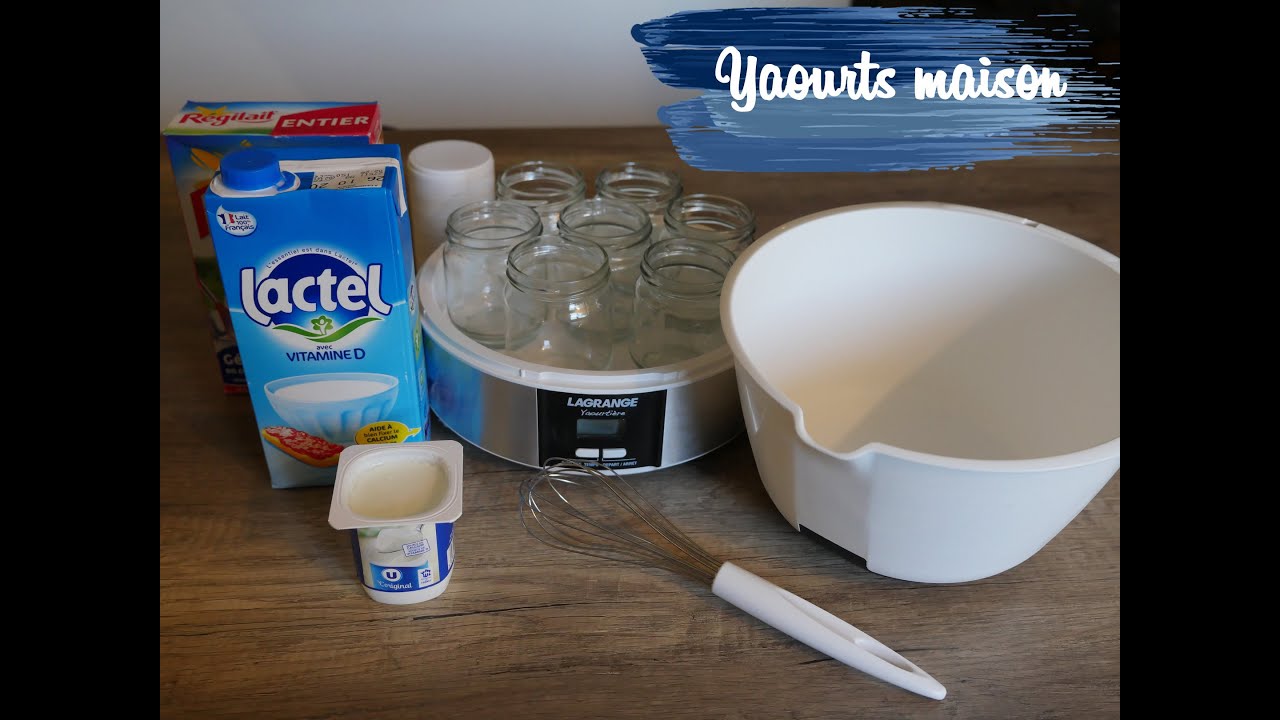 Comment utiliser la yaourtière Lagrange pour préparer des recettes savoureuses ?